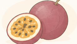 百香果日系手繪插畫